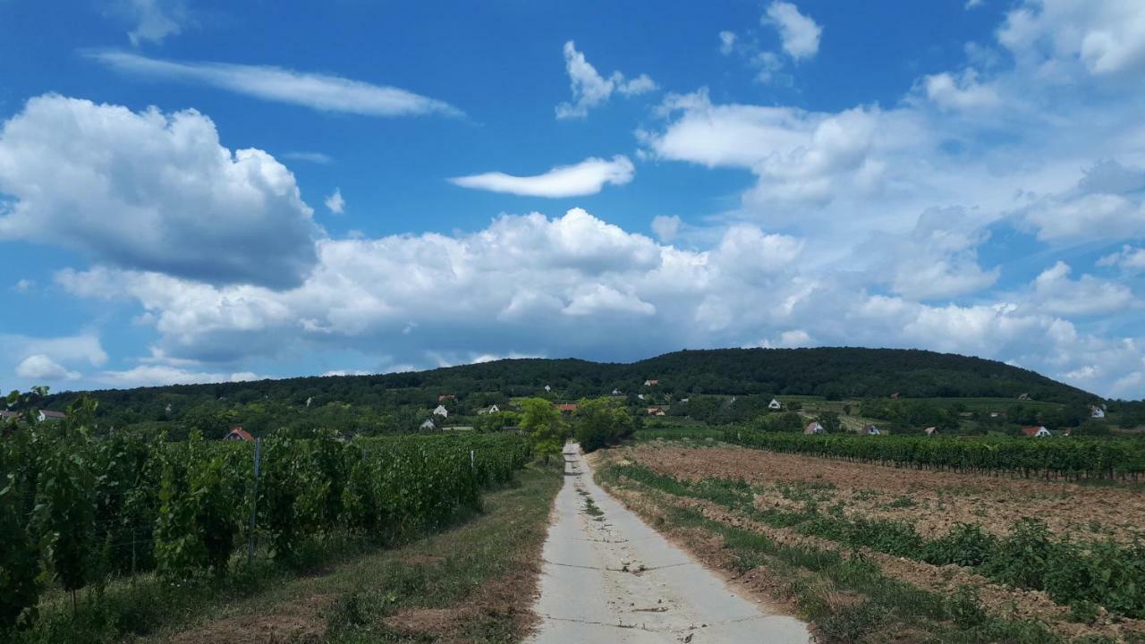 Вилла Kali 120 Tagyon Экстерьер фото